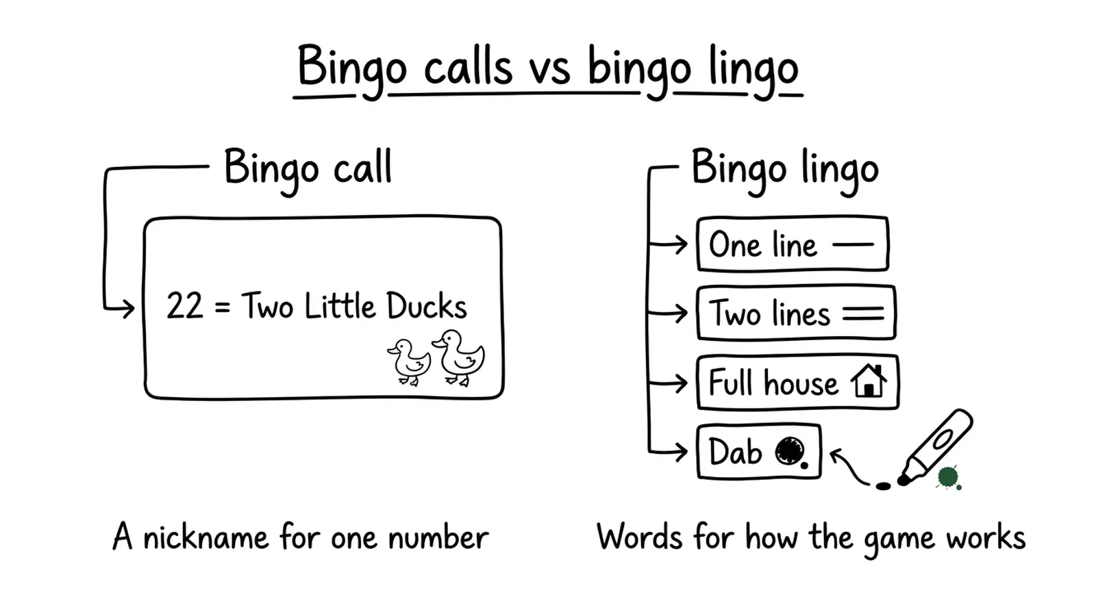 Diagram comparing a bingo call, such as 22 Two Little Ducks, with bingo lingo terms: one line, two lines, full house and dab