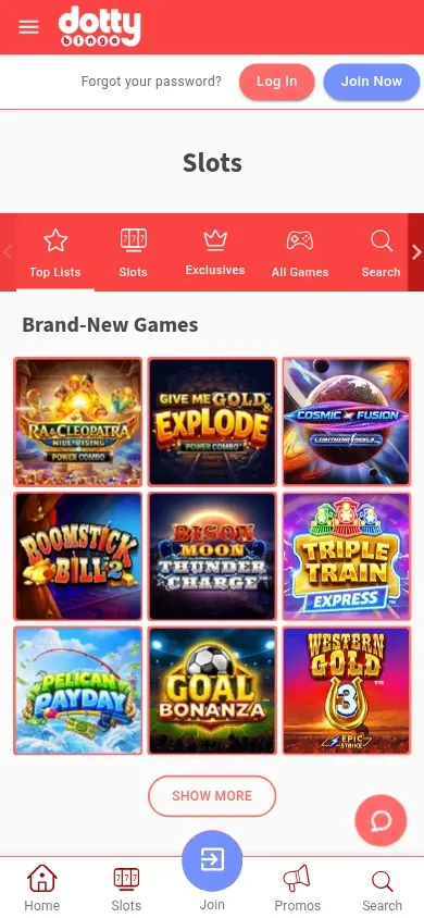 Dotty Bingo mobile site
