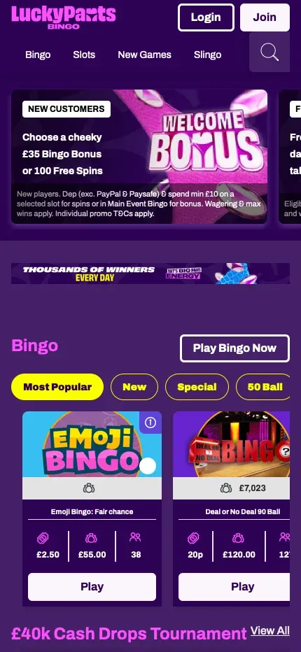 Lucky Pants Bingo mobile preview