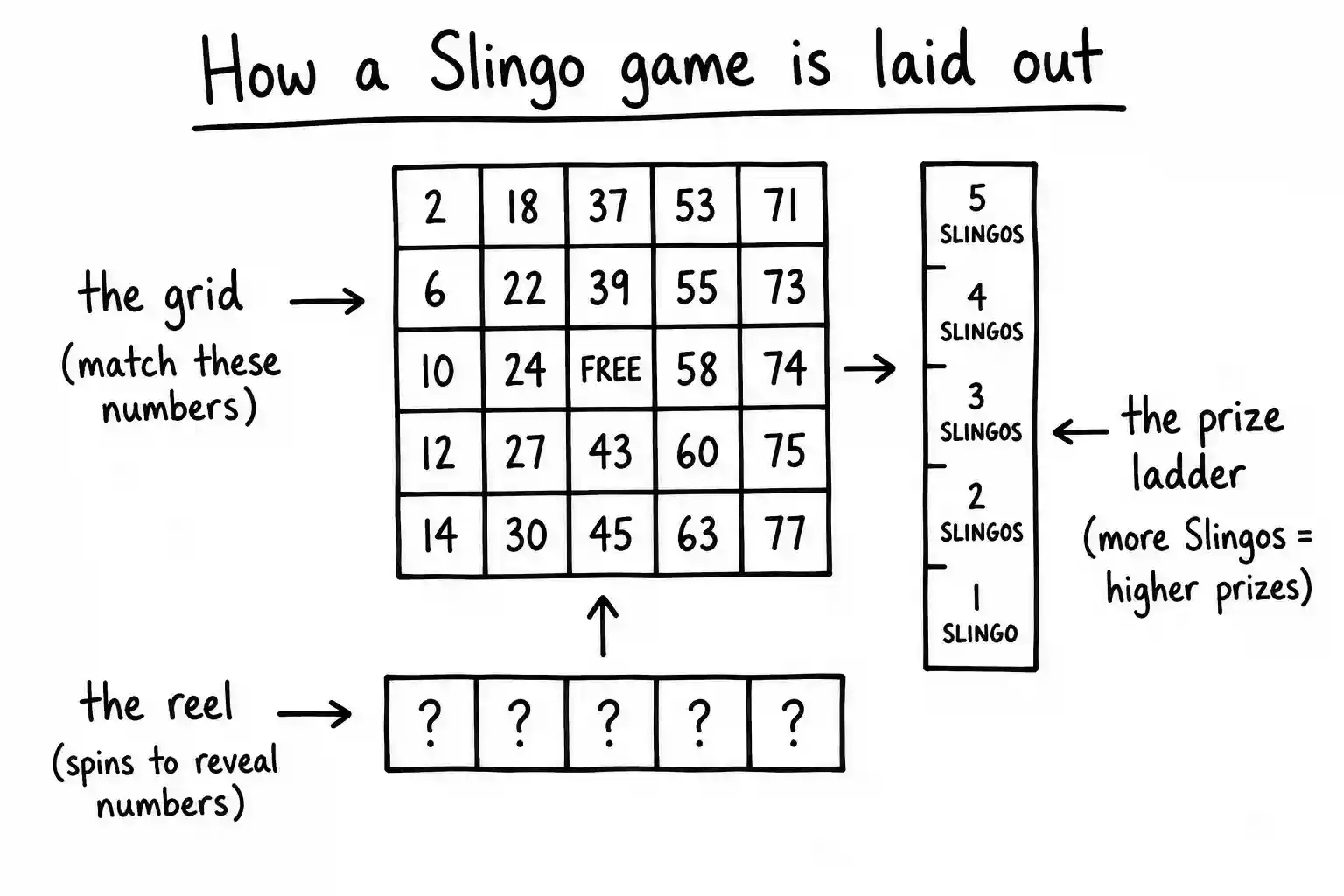 slingo image 1.webp